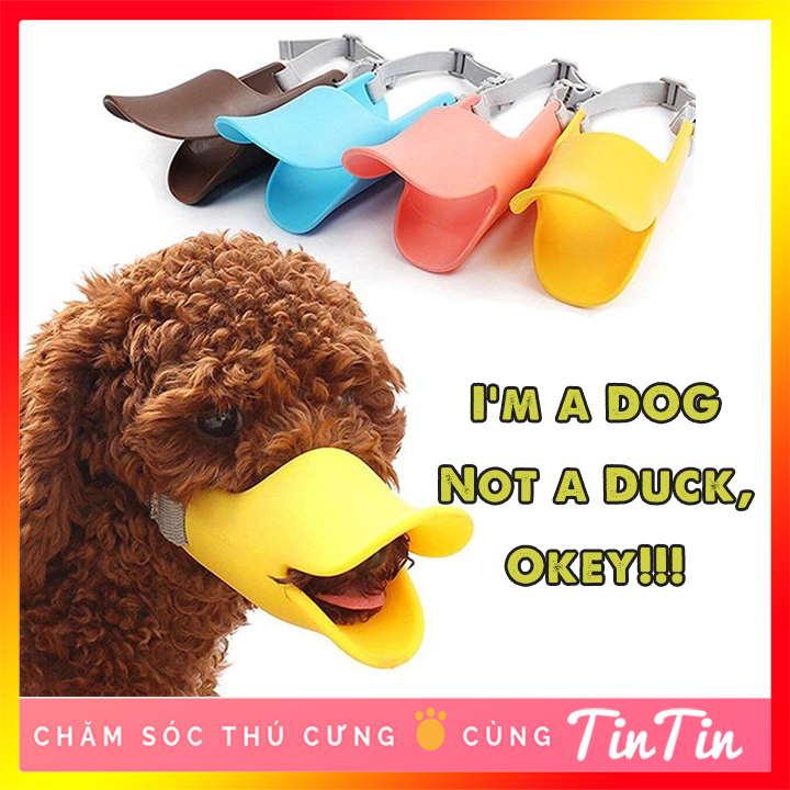 Rọ mõm cho chó hình mỏ vịt