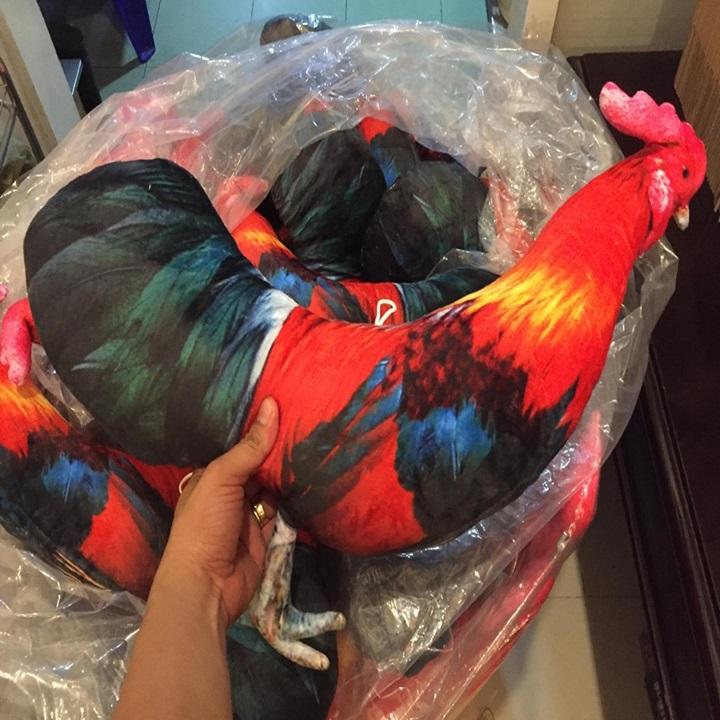 [HCM]Gà vải nòi có dây cột dùng để tập luyện