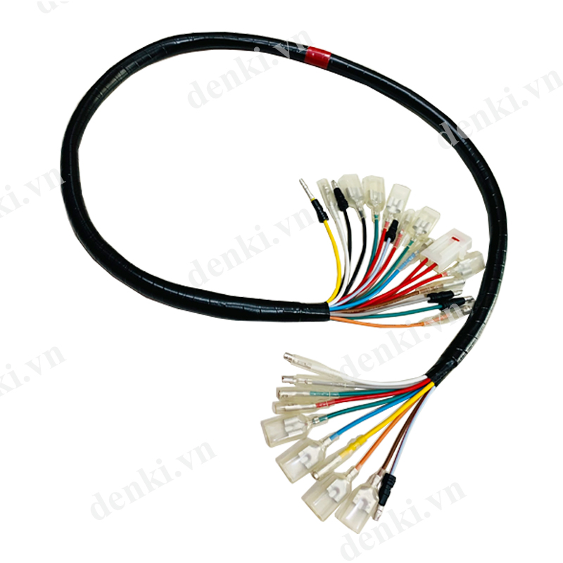 Denki dây điện sườn dành cho xe cub 67
