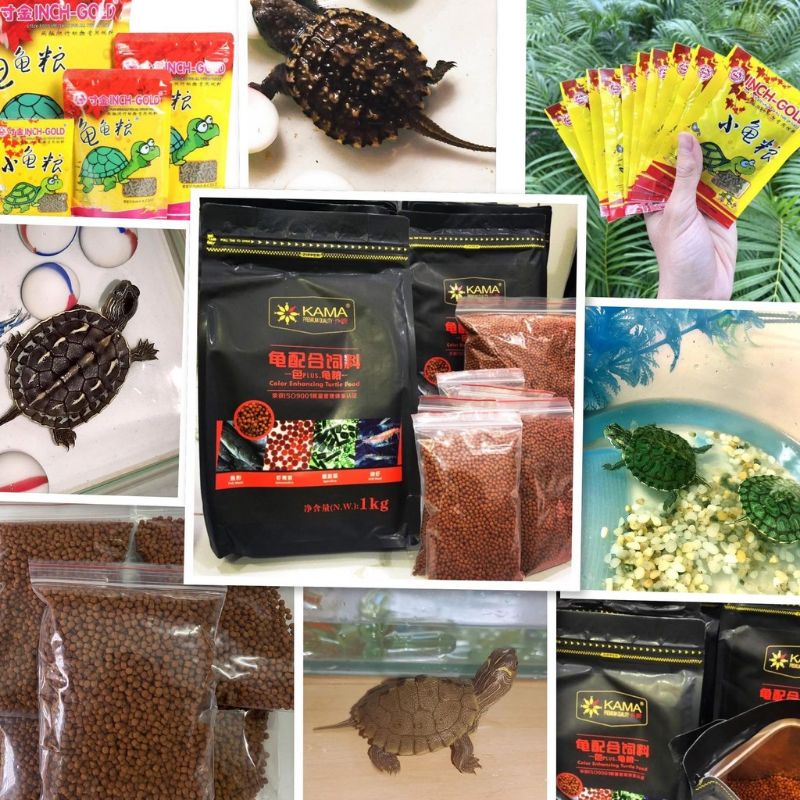 Thức ăn rùa nước Kama giàu dinh dưỡng