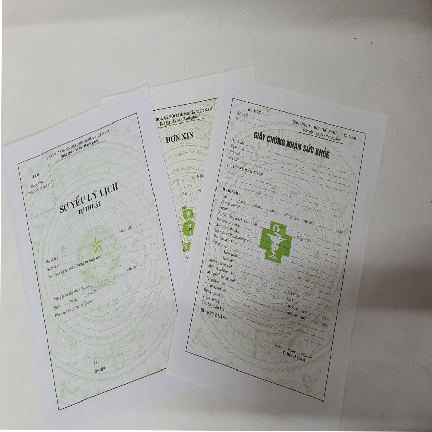 Combo 50 Ruột hồ sơ xin việc HS06 TAHA 42A19