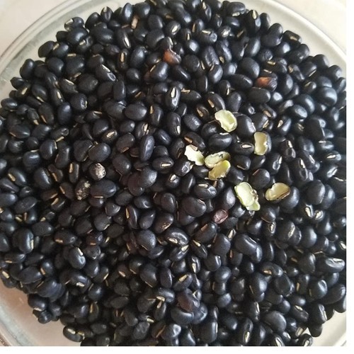 Đậu đen xanh lòng hữu cơ_500gram