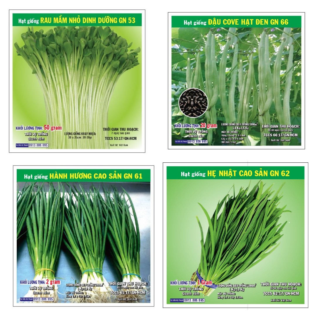 Hạt giống củ quả đồng giá tỉ lệ nảy mầm cao|Minh Hân Garden