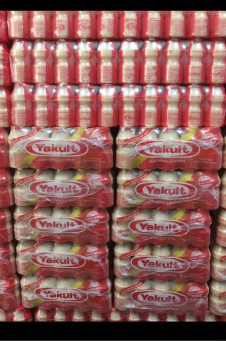 YAKULT - Sữa uống lên men của Nhật Bản (date mới)10lốc × 5chai