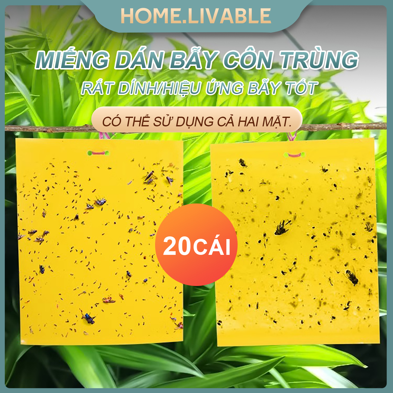 20 cái bẫy ruồi vàng hai mặt miếng dán bẫy côn trùngkích cỡ15x20cm, 20x25cm,25x30cm siêu dính hiệu quả