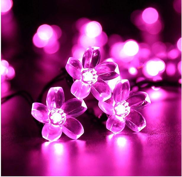 Dây Đèn Led Hoa Mai Hoa Đào 8M-50 Bóng Trang Trí Lễ, Tết ,Party