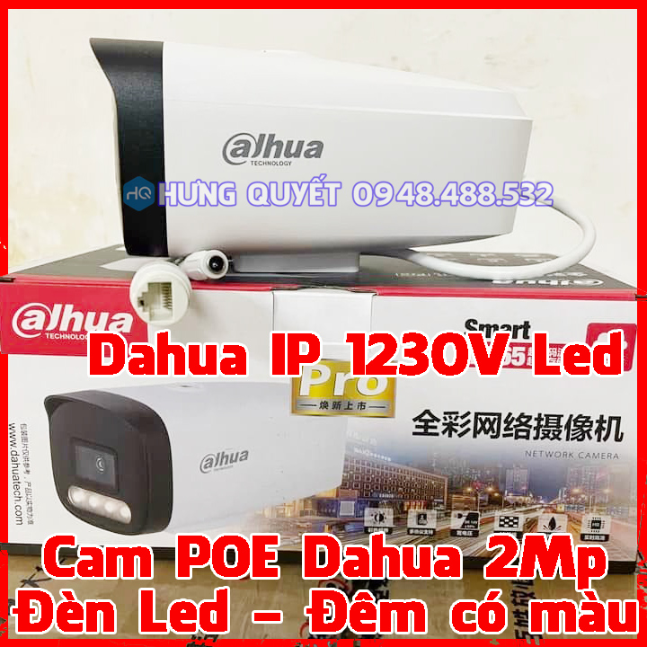 Camera IP Poe Dahua 1230V Led 2Mp camera thân trụ ngoài trời tích hợp Mic nghe âm thanh, có đèn led, có đèn hồng ngoại, chống ngược sáng tốt
