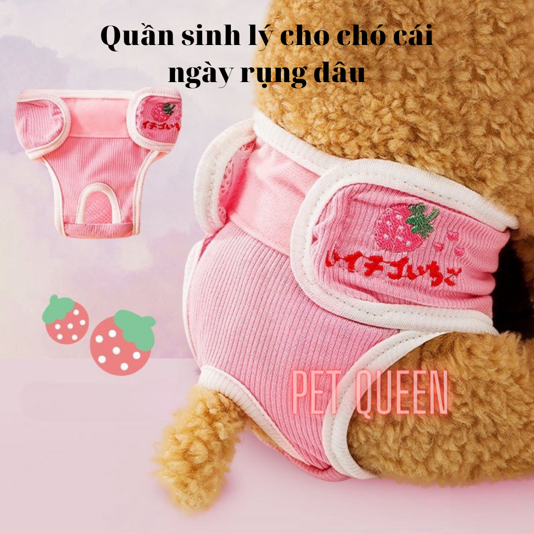 Quần sinh lý cho chó cái, quần chip chó mèo thú cưng ngày rụng dâu