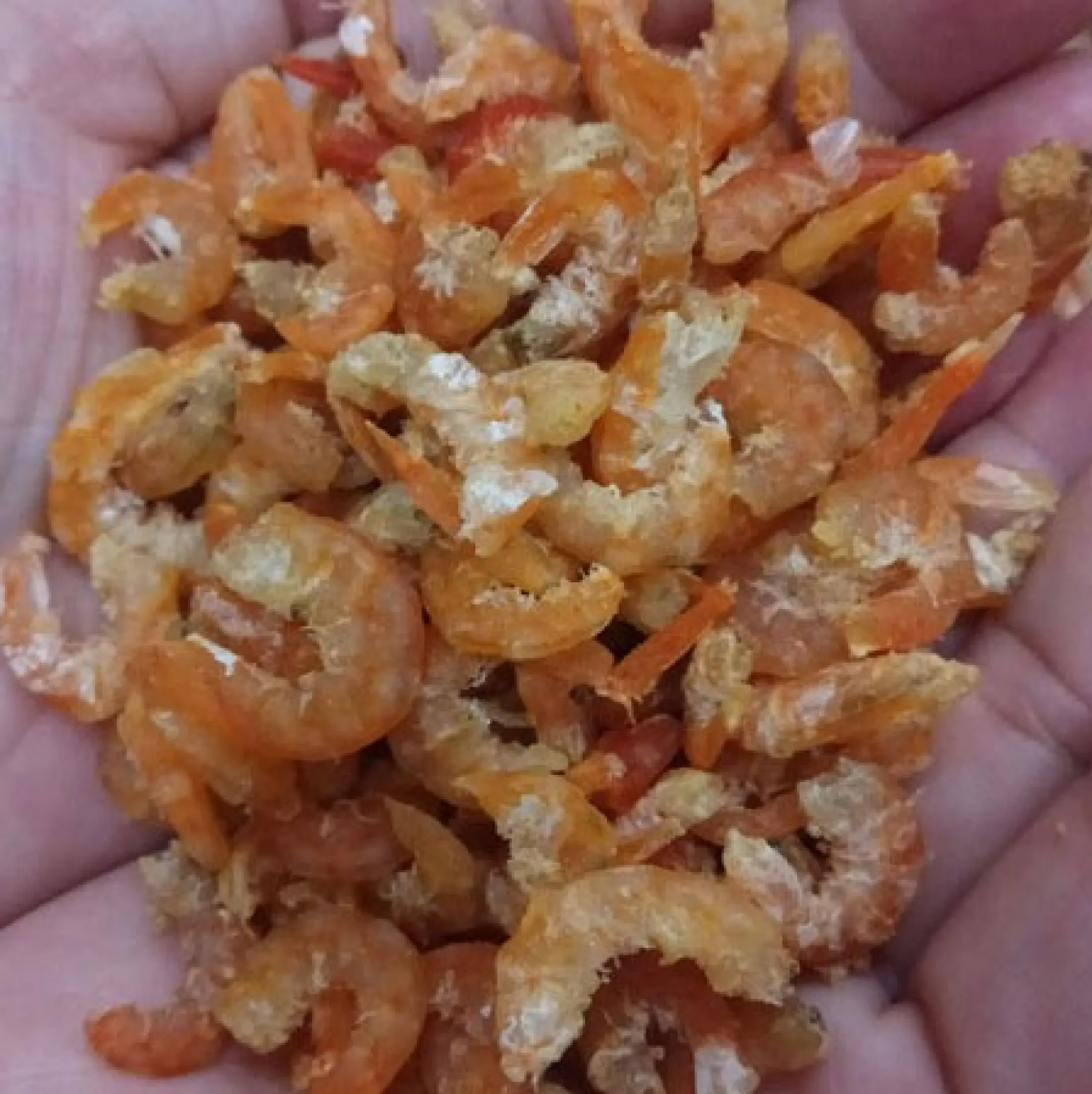 Bề bề khô, Tôm khô xẻ, Tôm khô giá hợp lý, mua tôm khô sấy (1kg) tự nhiên bổ dưỡng thơm ngon ăn vào là mê - MikiFoods