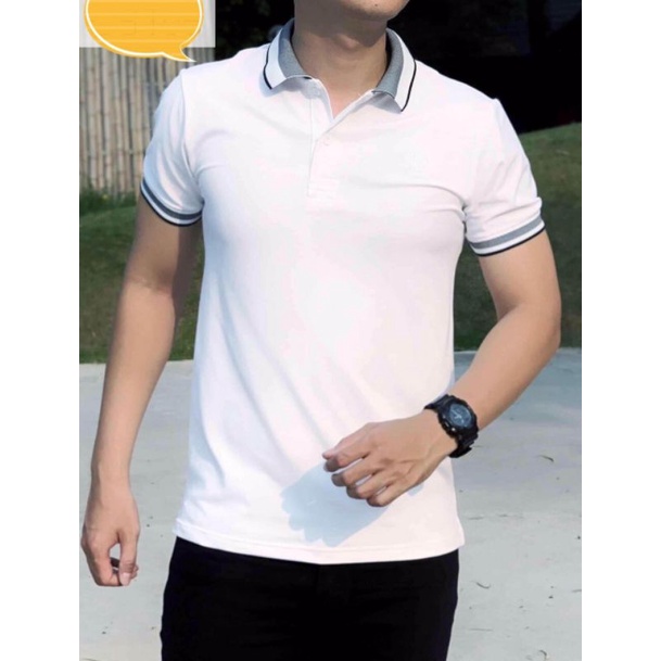 Áo thun polo nam cá sấu gai mềm