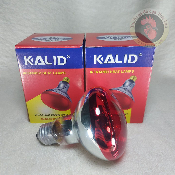 bóng đèn úm gà con - bóng 45w