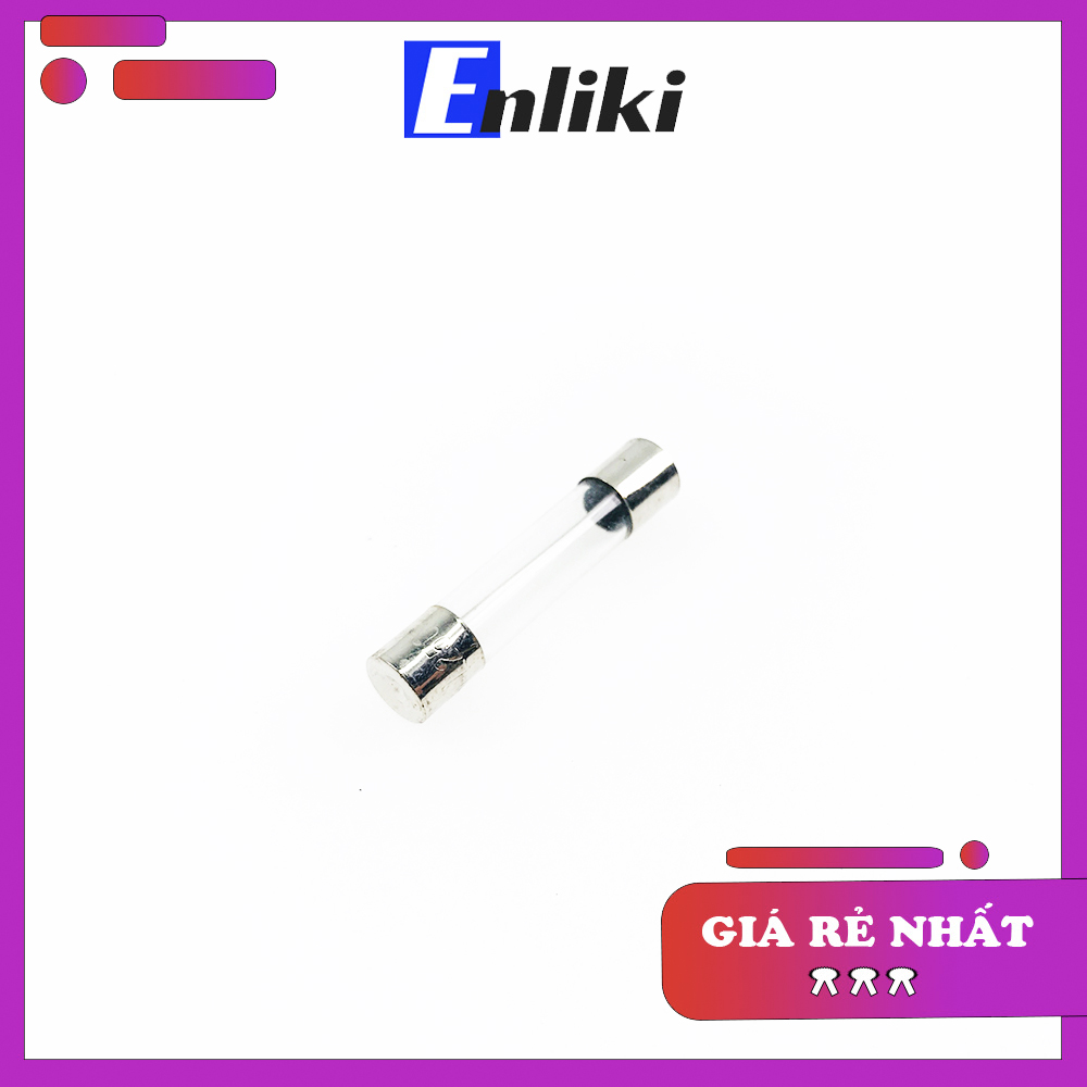Bộ 2 chiếc cầu chì 10a 5x20mm 250vac