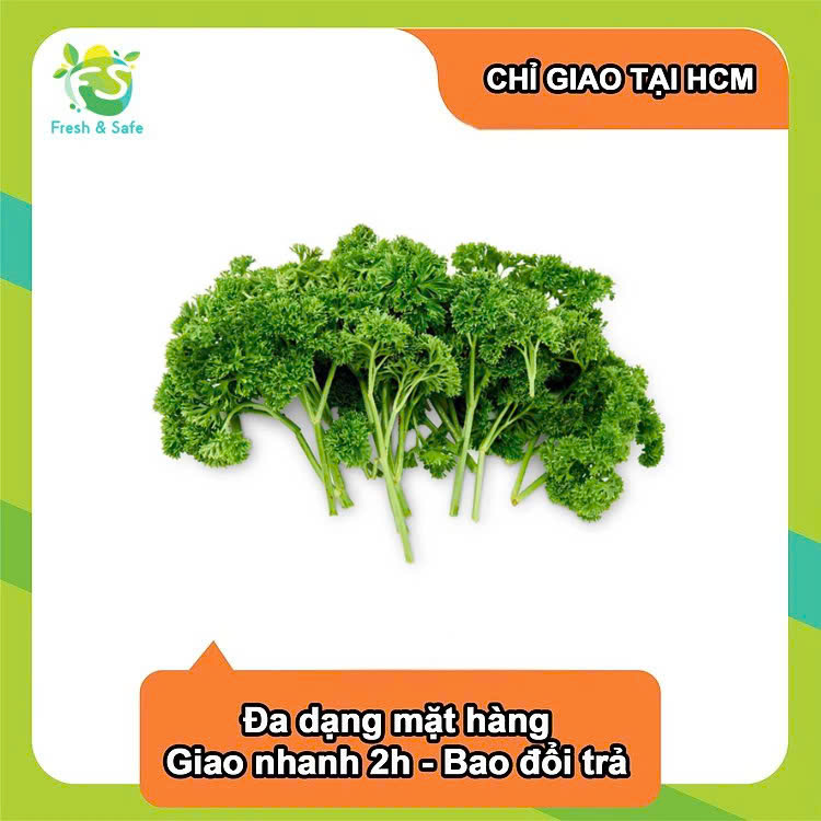 [Chỉ Giao HCM] Ngò Tây - 200g (sỉ)