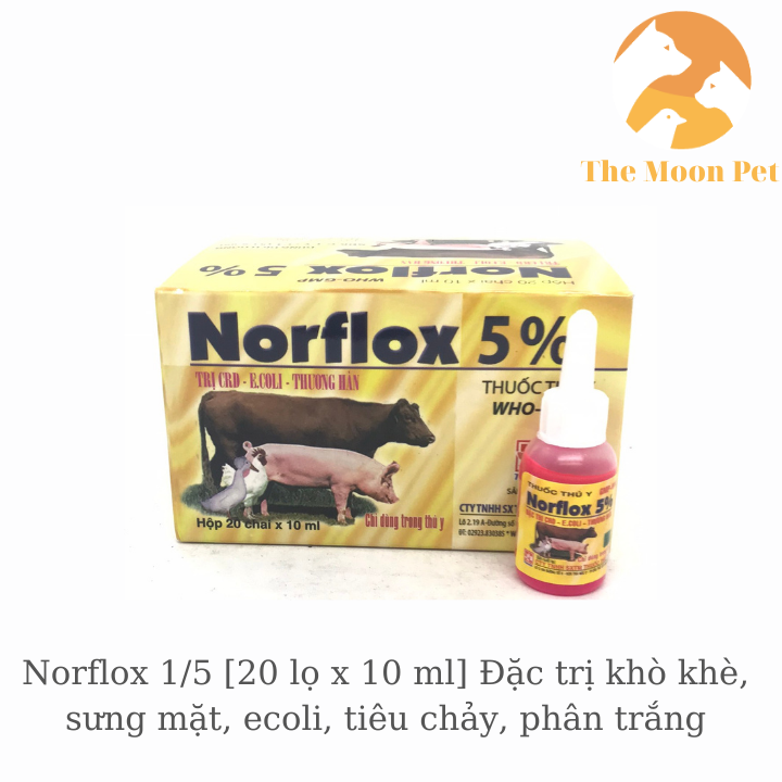 Norflox 1/5 [20 lọ x 10 ml] Đặc hiệu khò khè, sưng mặt, ecoli, tiêu chảy, phân trắng
