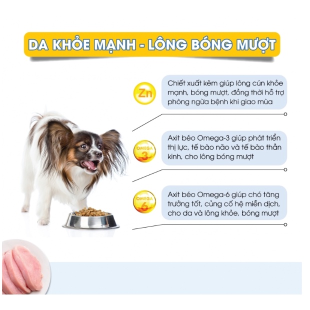 40g- gift thức ăn hạt cho chó dog mania