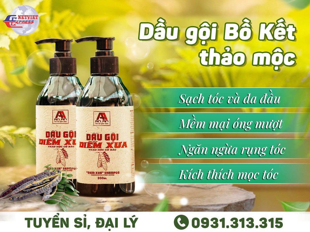 Dầu gội thảo mộc 300ml- dầu gội diễm xưa an an - nét việt 686
