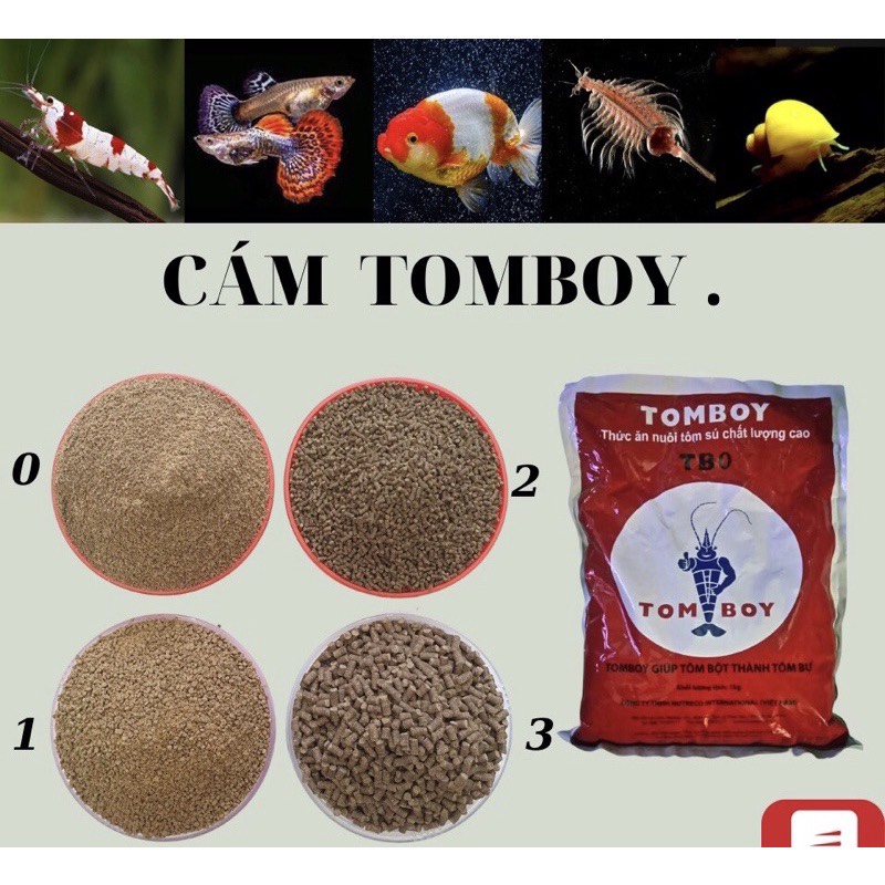 Thức ăn Tomboy 43 đạm cho tôm vèo, tôm cảnh ,cá cảnh