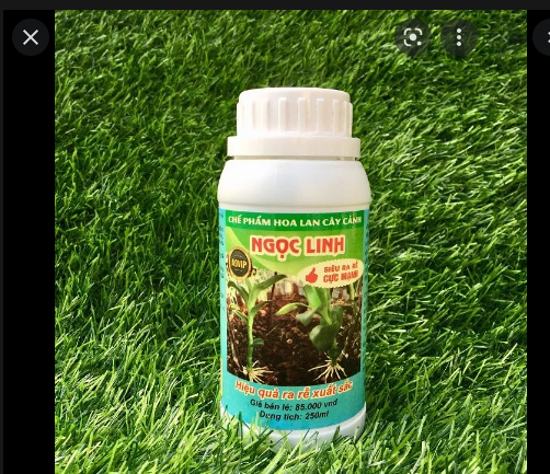 Chế phẩm Ngọc Linh A9 chuyên kích rễ cho Lan lọ 250ml