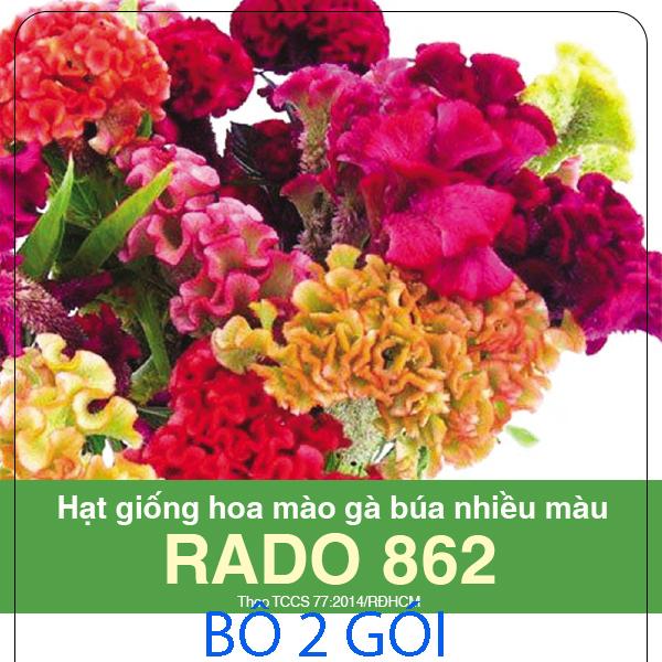 Combo 02 : hạt giống hoa mào gà búa nhiều màu rado 862_gói 01g. tặng 01 gói phân 10g .