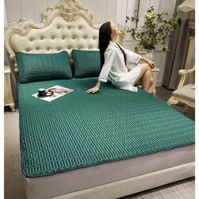 HCM Chiếu Điều Hòa Mát Lạnh - chiếu điều hòa cao su non 1m6x2m- 1m8 x 2m - chiếu điều hòa cao su non mát lạnh - chiếu Điều hòa chiếu điều hòa mát lạnh chiếu ngủ văn phòng chiếu