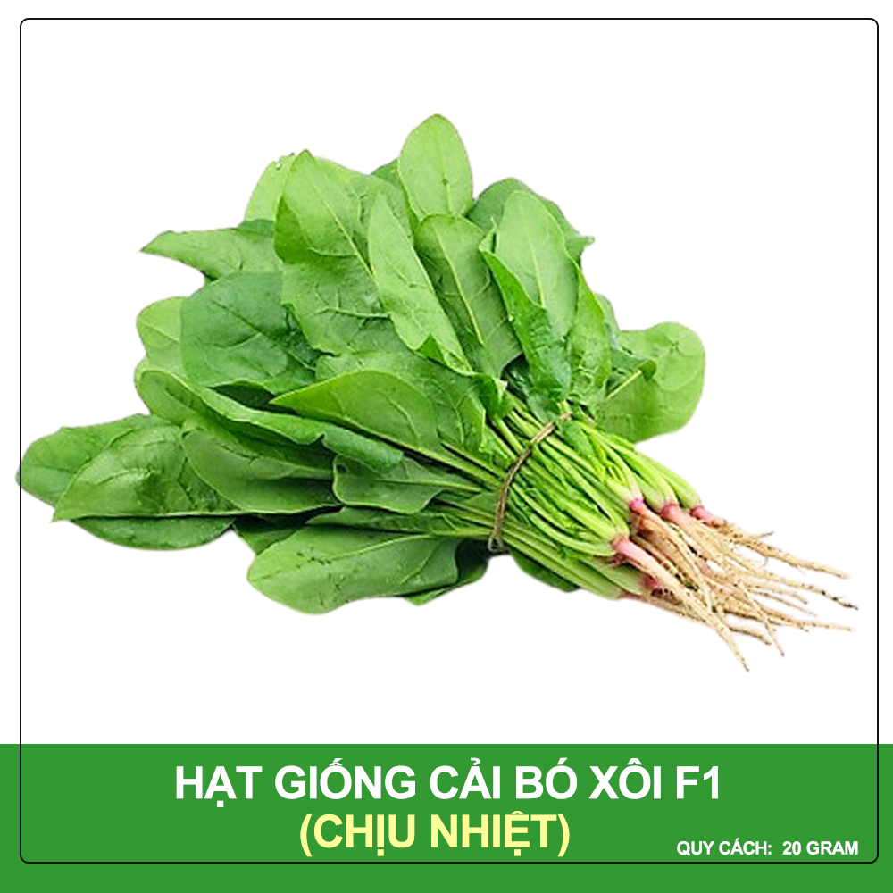 Hạt Giống Cải Bó Xôi Phú Nông Gói 20 Gram