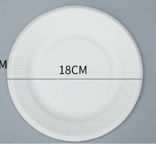 Set 10 dĩa giấy bã mía 18cm