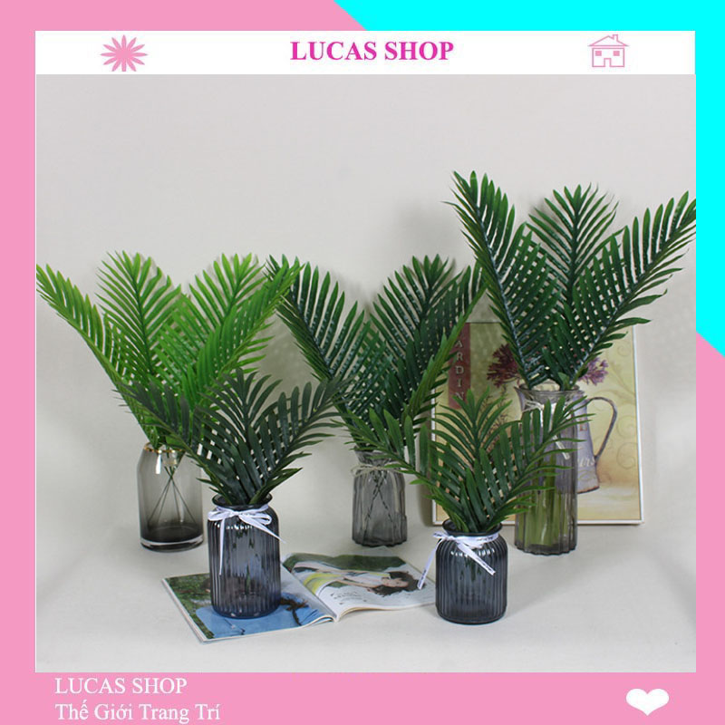 Lá giả - Lá cọ 45cm trang trí phông nền chụp ảnh, decor nhà cửa, cắm điểm, cổng cưới, bàn tiệc