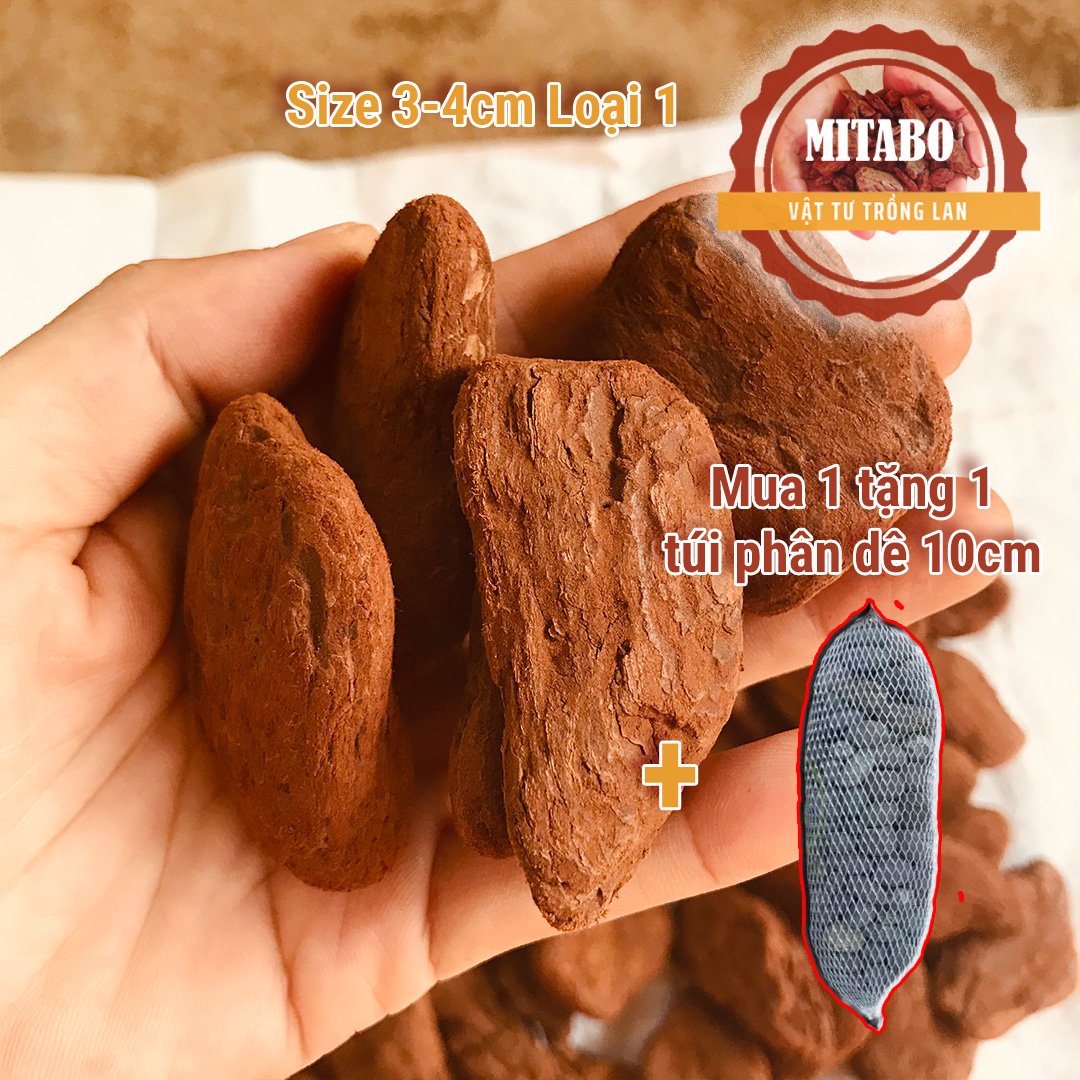 Combox 5kg vỏ thông trồng lan loại xay mài cạnh tròn đẹp kích thước 3-4cm vỏ thông Mitabo - Giá thể trồng lan cao cấp tặng kèm túi phân dê