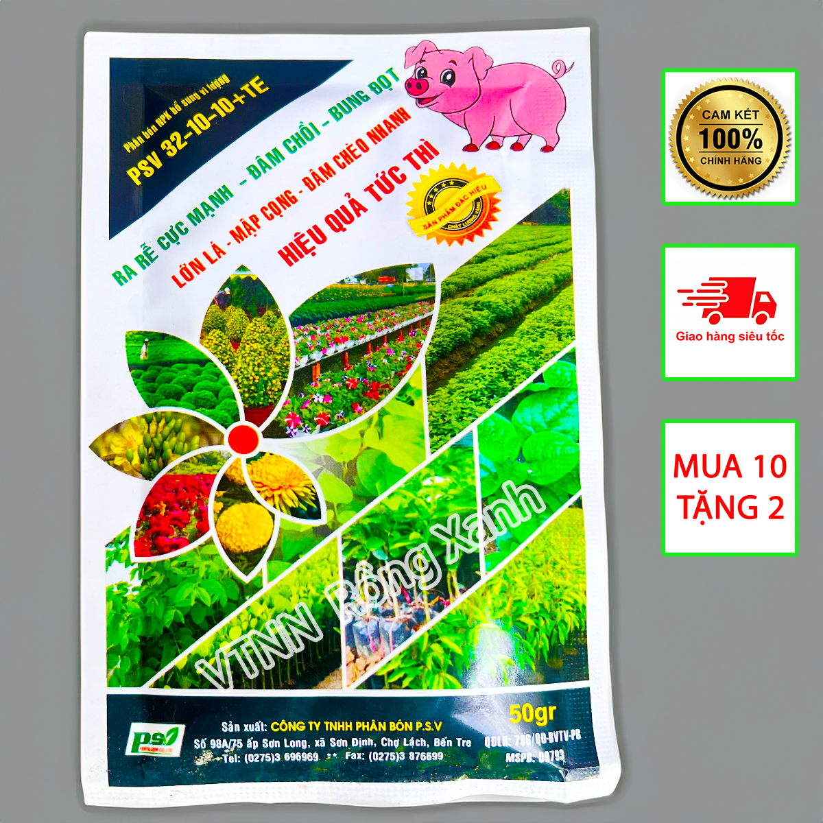 Phân bó đâm chồi vọt đọt bung chèo mập cây xanh cây kích rễ