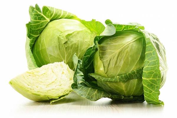 Hạt giống bắp cải F1