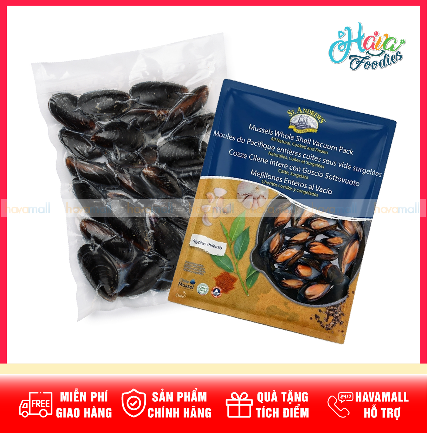 Vẹm Xanh Nguyên Vỏ Hấp Chín Đông Lạnh Chile St. Andrews 1kg – St. Andrews Whole Shell Cooked Frozen Mussels 1kg