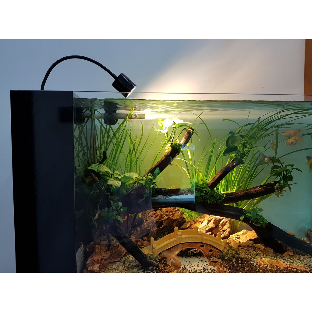 Đèn rọi thuỷ sinh biotop 3w / 5w / 7w - bật tắt 3 chế độ màu thủy sinh xanh