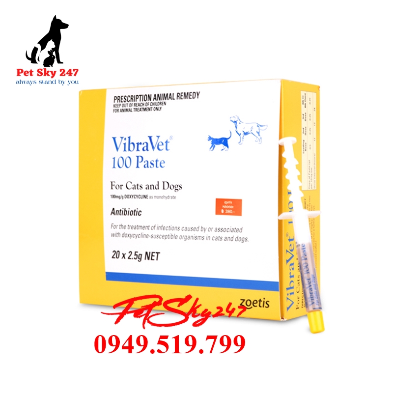 [HCM]Ống VIBRAVET 100 PASTE 2.5g - Hỗ Trợ Tiêu Hóa Trên Chó Mèo 1 Cây