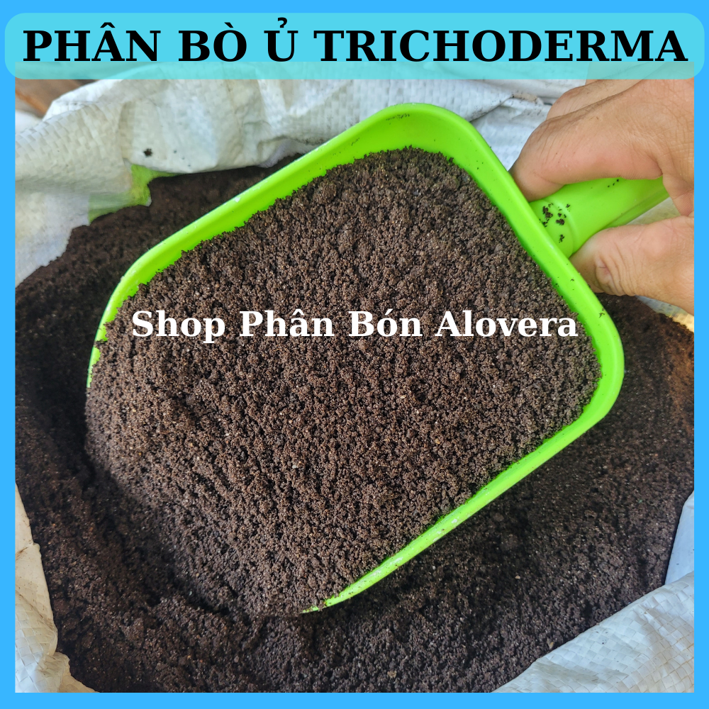 Phân bò đã qua xử lý