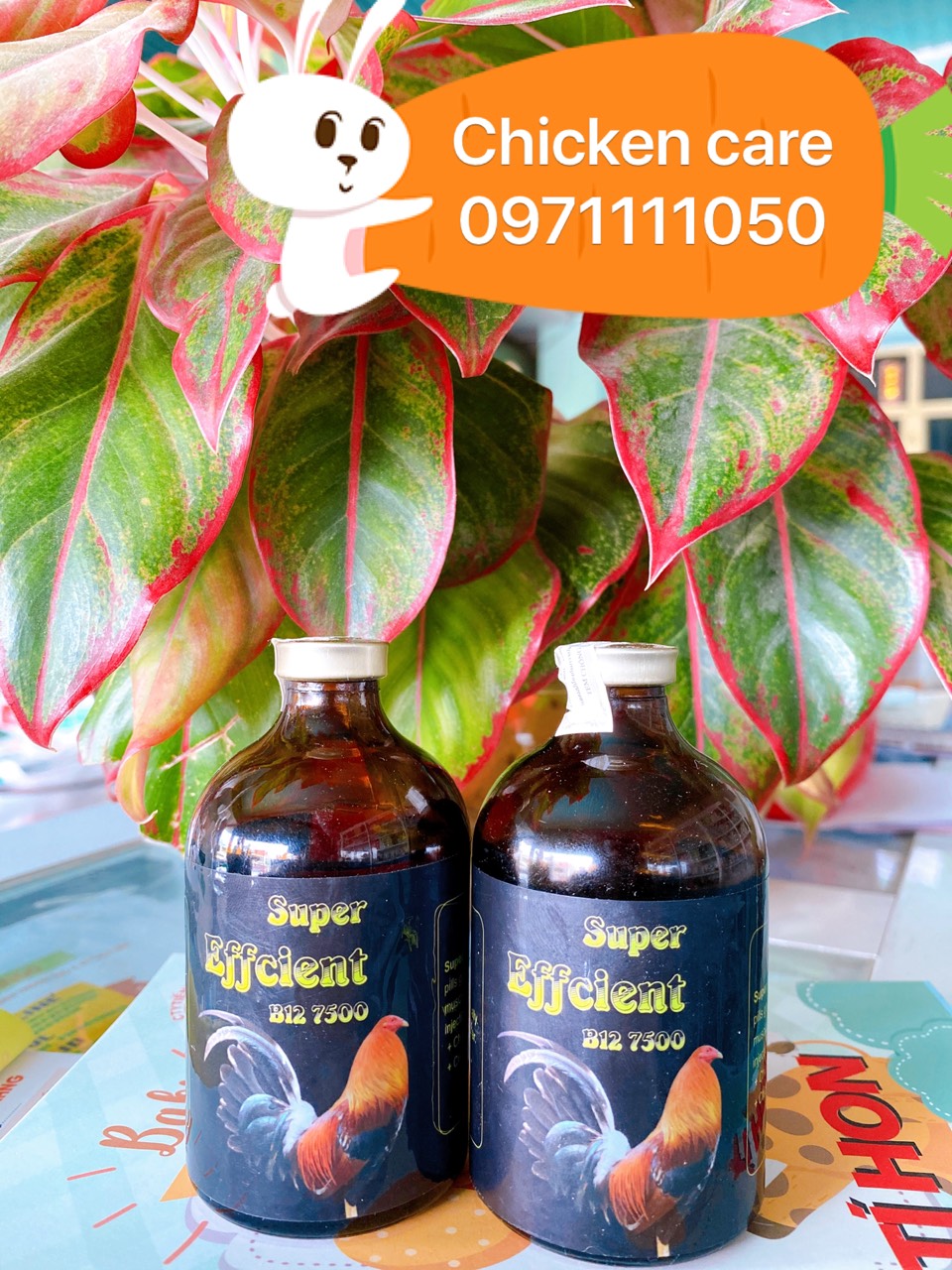B12 7500 lọ 100ml zin