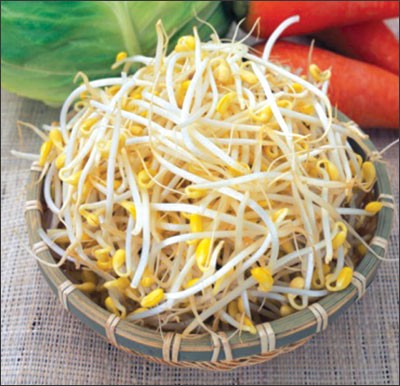 50g Hạt Giống Mầm Giá Đậu Xanh Dễ Trồng