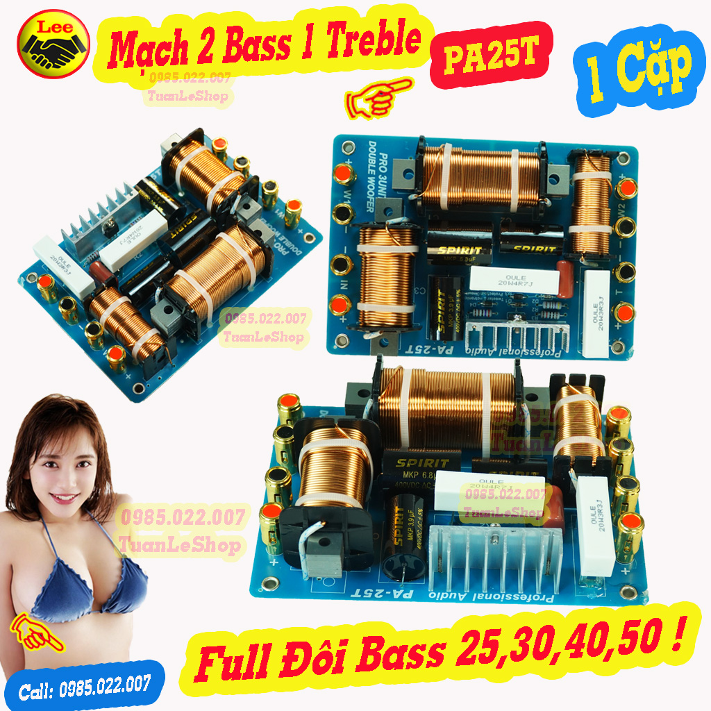 Mạch full đôi bass 40,50 - mạch phân tần 2 bass 1 treble pa25t - giá 2 mạch - mạch loa bass đôi công suất lớn