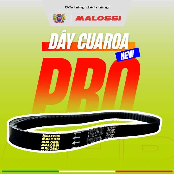 Dây curoa xe máy EPDM chịu nhiệt cao cấp Pro Malossi Honda SH Vision Air Blade Vario Lead PCX Scoopy