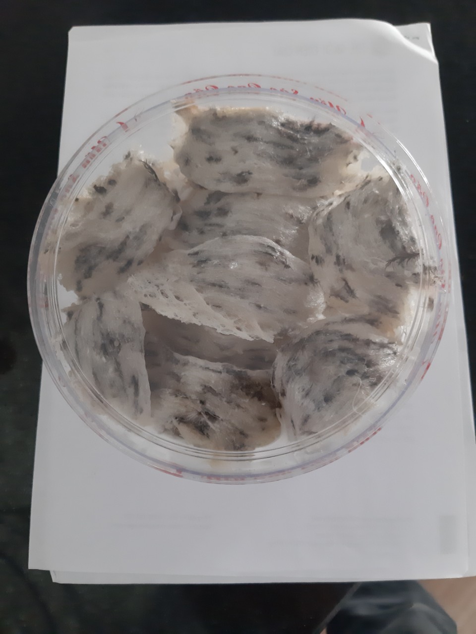 4 tổ yến thô nguyên chất 100gr