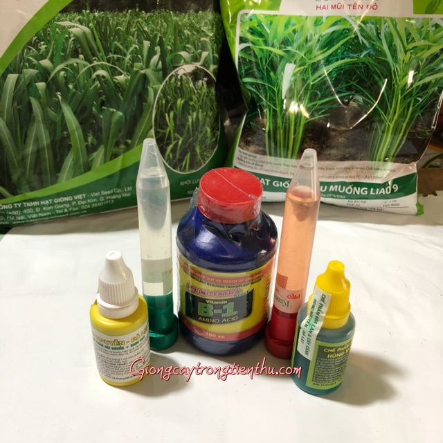 COMBO-5 LOẠI B1 THÁI,KÍCH RỄ N3M, KEI KY,CHẾ PHẨM, PHÒNG  NẤM,VI RÚT,VI KHUẨN CHO LAN VÀ CÂY CẢNH