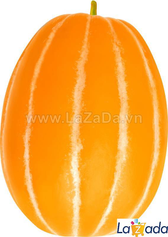 10GR 900.HẠT Hạt Giống Dưa Lê Hàn Quốc Truyền Thống TG49 (| A2*X56)