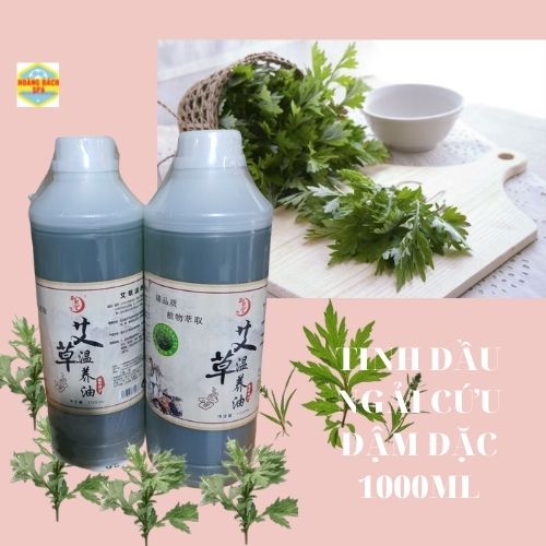 Tinh dầu massage ngải cứu đậm đặc 1000ml cao cấp chính hãng