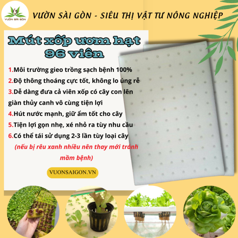 (Combo 2 miếng) Mút xốp ươm hạt loại 96 viên - ươm hạt nhanh, thoáng khí, không cần đất, nhẹ nhàng, sạch sẽ(Vườn Sài Gòn - Vuon Sai Gon) .