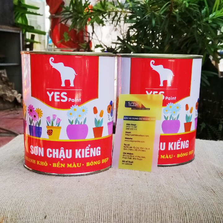 SƠN CHẬU KIỂNG CHUYÊN DỤNG 1K YES LON 800GRAM