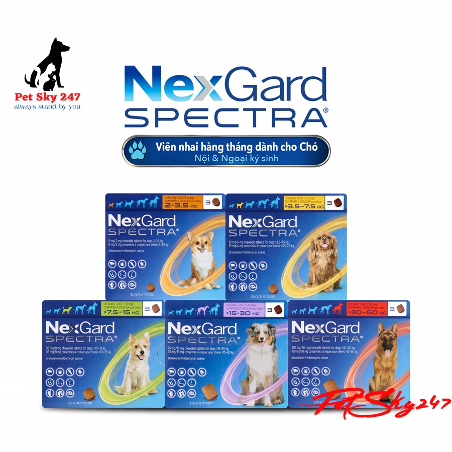 NEXGARD SPECTRA Thuốc trị ve ghẻ bọ chét demodex tẩy giun cho chó - Lẻ 1 viên (No Box)