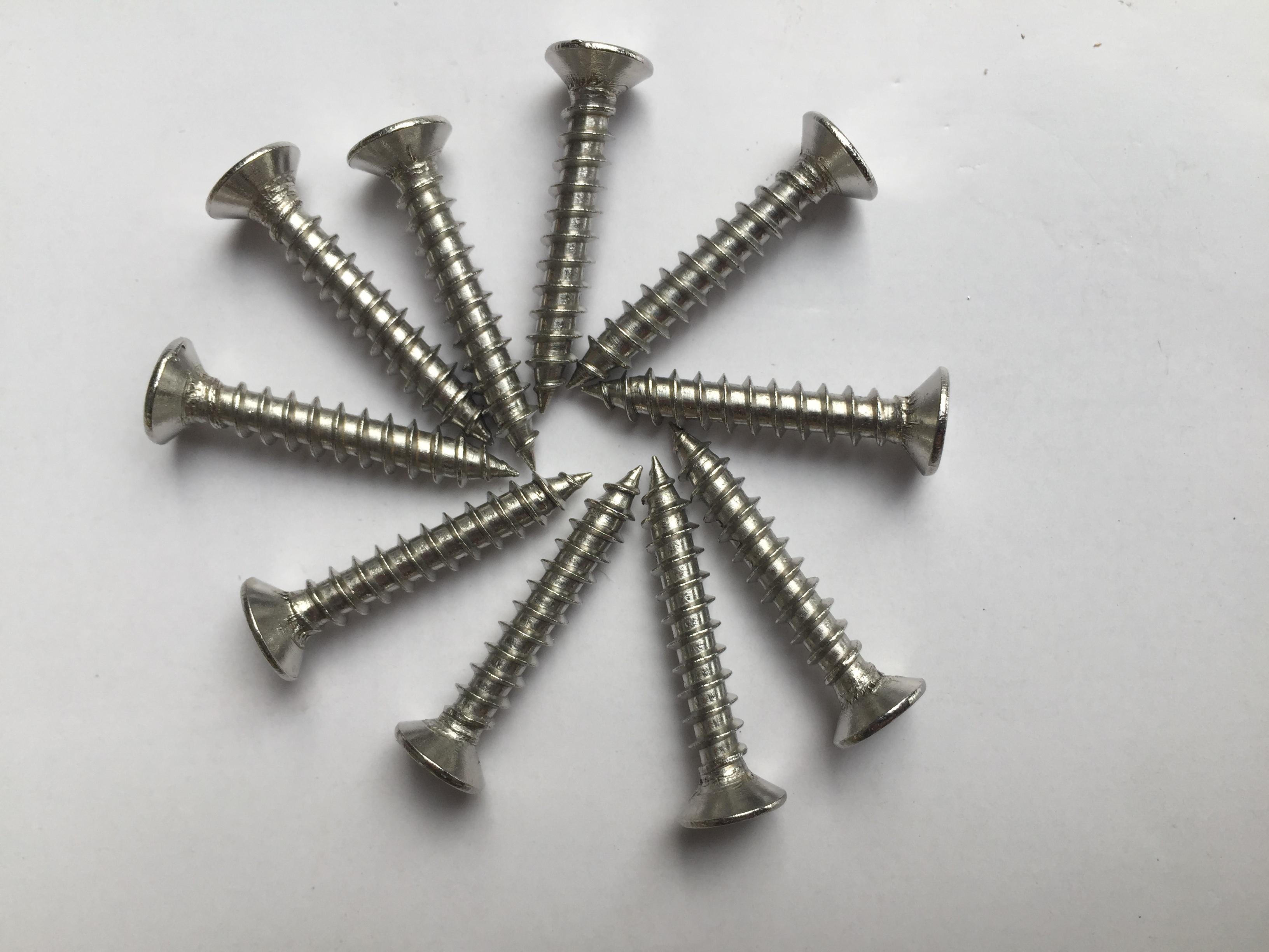 50 chiếc vít inox 304 phi 6 dài 5cm