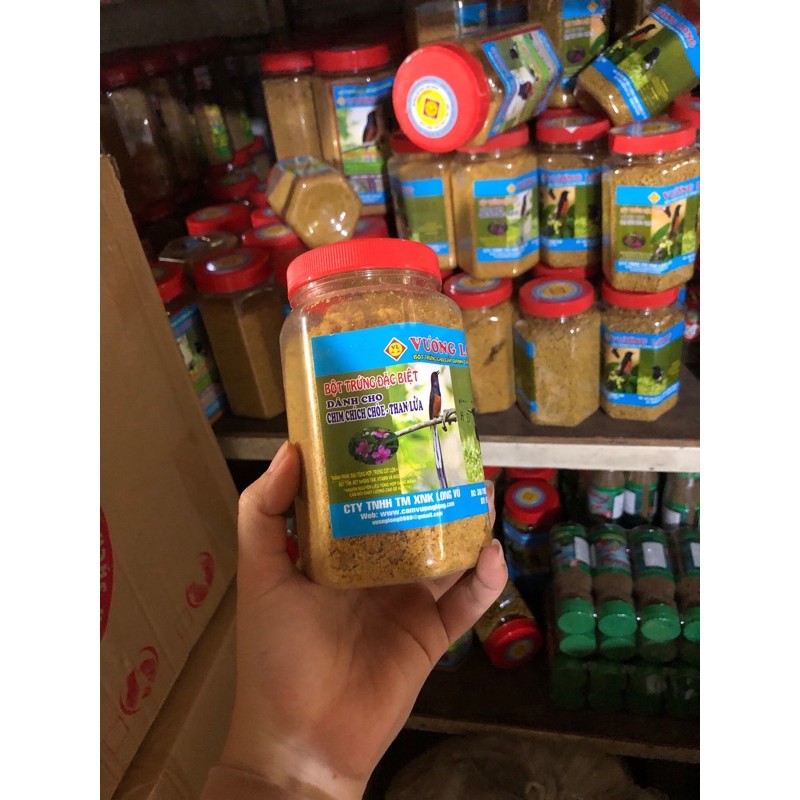 Cám vương long than lửa dạng bột