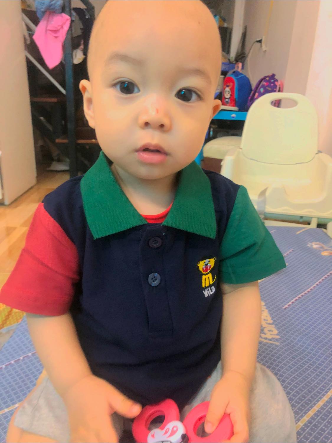 Mẫu áo họa tiết khủng long POLO WELLKIDS thun cotton cọc tay dành cho bé trai [hàng Quảng Châu Cao Cấp]