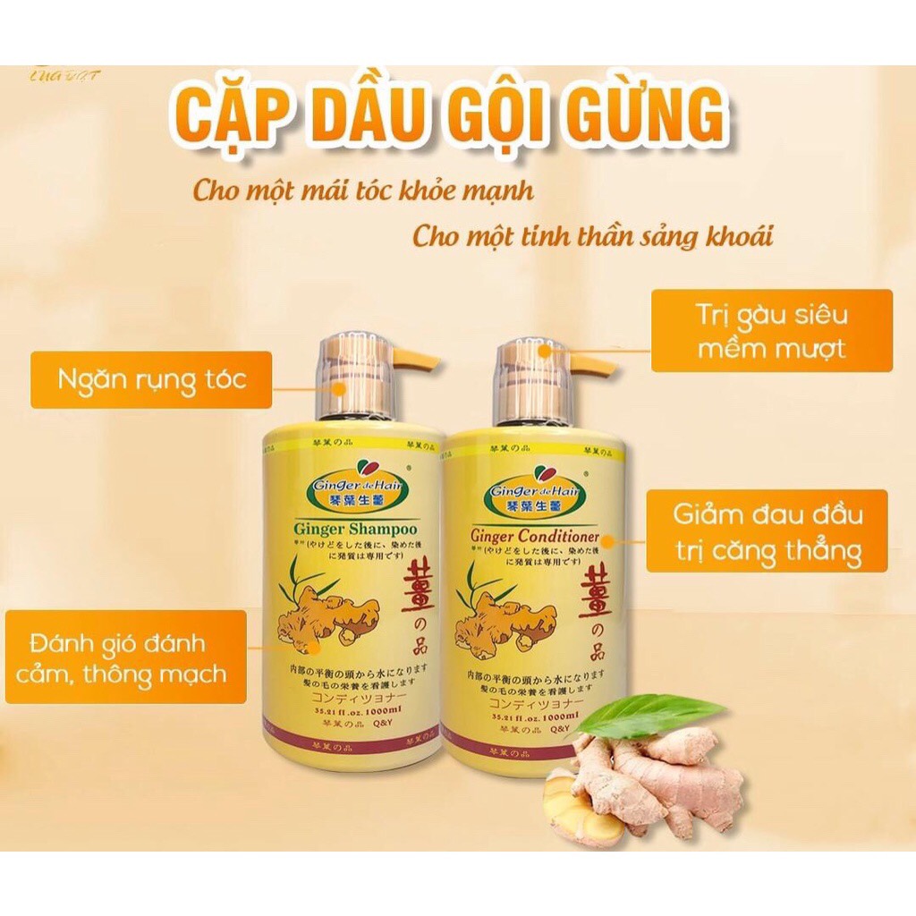 Japanese Ginger De Hair Premium Ginger De Hair Shampoo 1000ml
