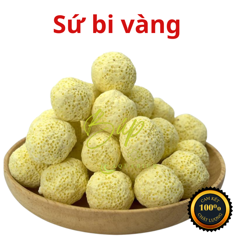 Sứ nhẫn trắng, sứ nhẫn xám, sứ bi vàng vật liệu lọc nước cho hồ cá cảnh thủy sinh
